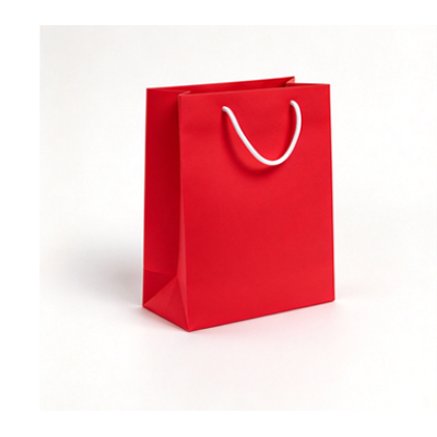 White Cardboard Paper Bag With Handle