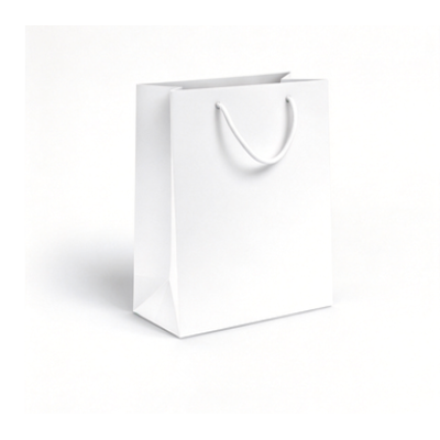 White Cardboard Paper Bag With Handle