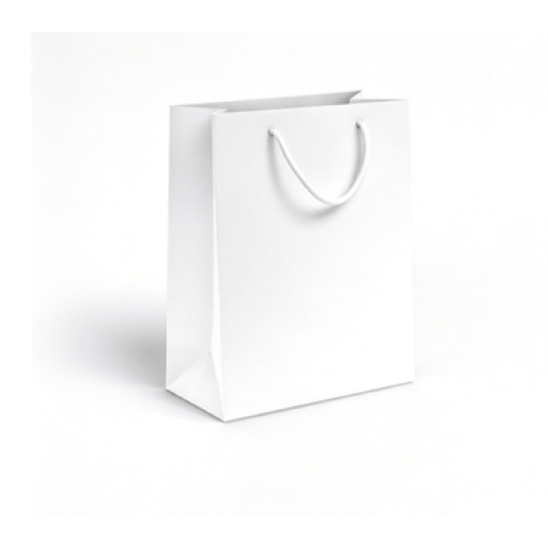 White Cardboard Paper Bag With Handle